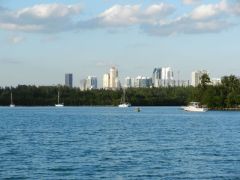 University Cove