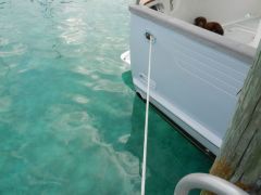 That clear Bahamian water!