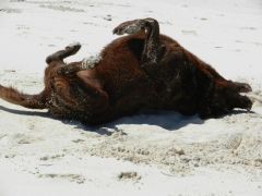 Ahhh! Sand!