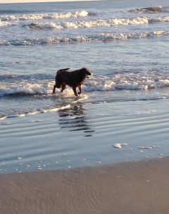 Ocean swim!