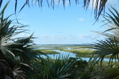View from Camp Driftwood