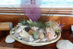 Bloom matches the purple fan coral