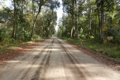 Daufuskie Island