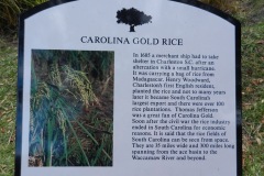 Rice legacy