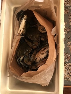 Hardshells ready for the table