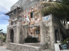 Dolphin House on Bimini