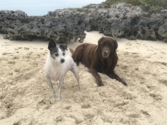 Hanging out on the beach.