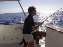 The Admiral reels one in