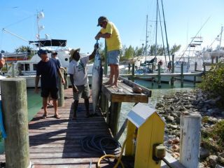 Paul lands a big one!