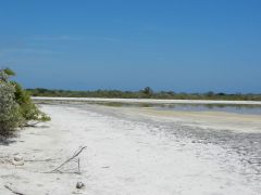 Salt pond
