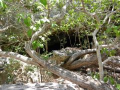 Cave entrance