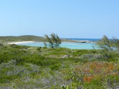 View from cave entrance