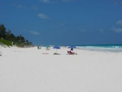 Pink sand beach