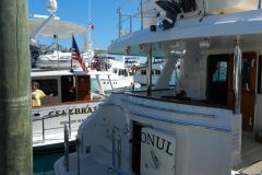 Selene's packed everywhere!