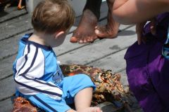 Toddler with seafood