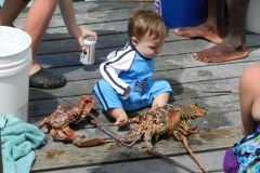 Mom, this thing's alive!