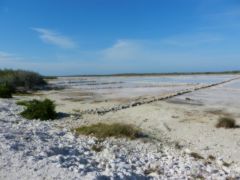 Salt ponds
