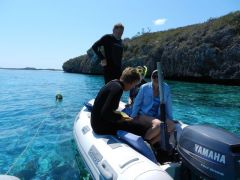 Snorkeling Rocky Dundas