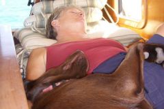 Snooze time. Molly has 2 speeds, wild/off.