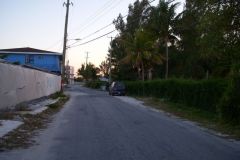 Main St. Alice Town