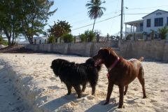 Beach Day! - Radio Beach - Bimini