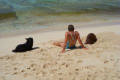 The Admiral relaxing at surf's edge.