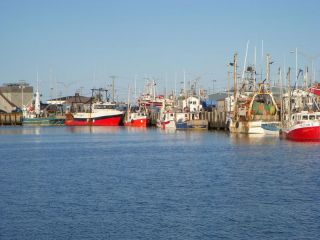 Fishing fleet Riviere au Renaud