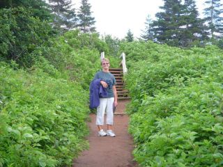 Trail to gannet colony- 3km