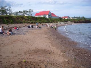 Agate hunting at L'Anse-a-Beaufils