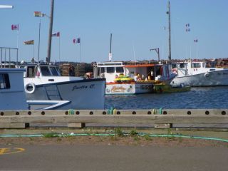 Fishing Fleet