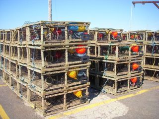 Lobster pots ready to go