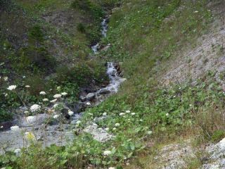 Freshwater brook from nowhere!