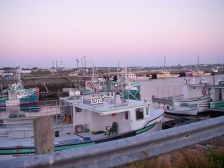 Fishing fleet- Clark's