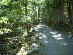 Carriage road