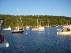 Farewell to Northeast Harbor