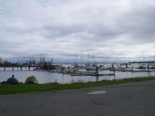 Rockland Harbor