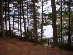 Jewell Is. shoreline