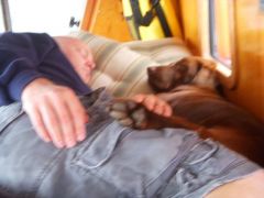 Molly likes Jared!