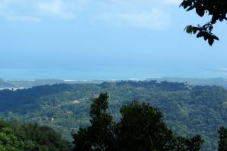 View from El Yunque