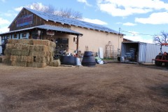 New Mexico