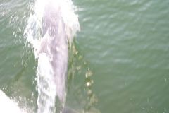 Surfing our bow wave!