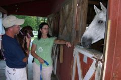 Intro to horse - 101
