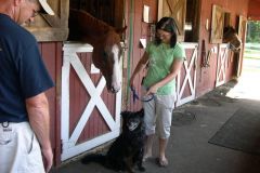 Sammie's really focusing on a cat at the end of the barn!