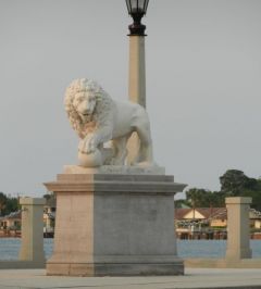 One of the Lions