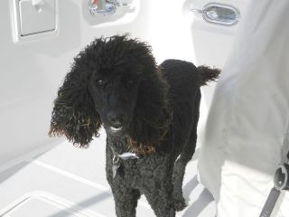 Bella visits!