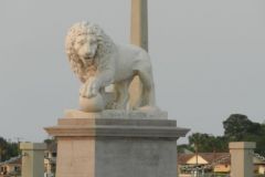 One of the Lions