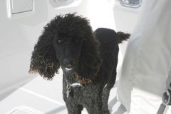Bella visits!