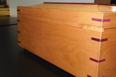 Hinge detail