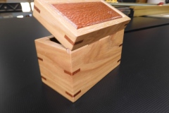 Wooden dowel hinge