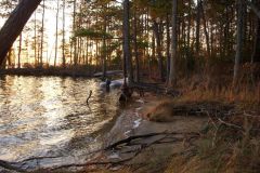 Shore leave at Pungo River